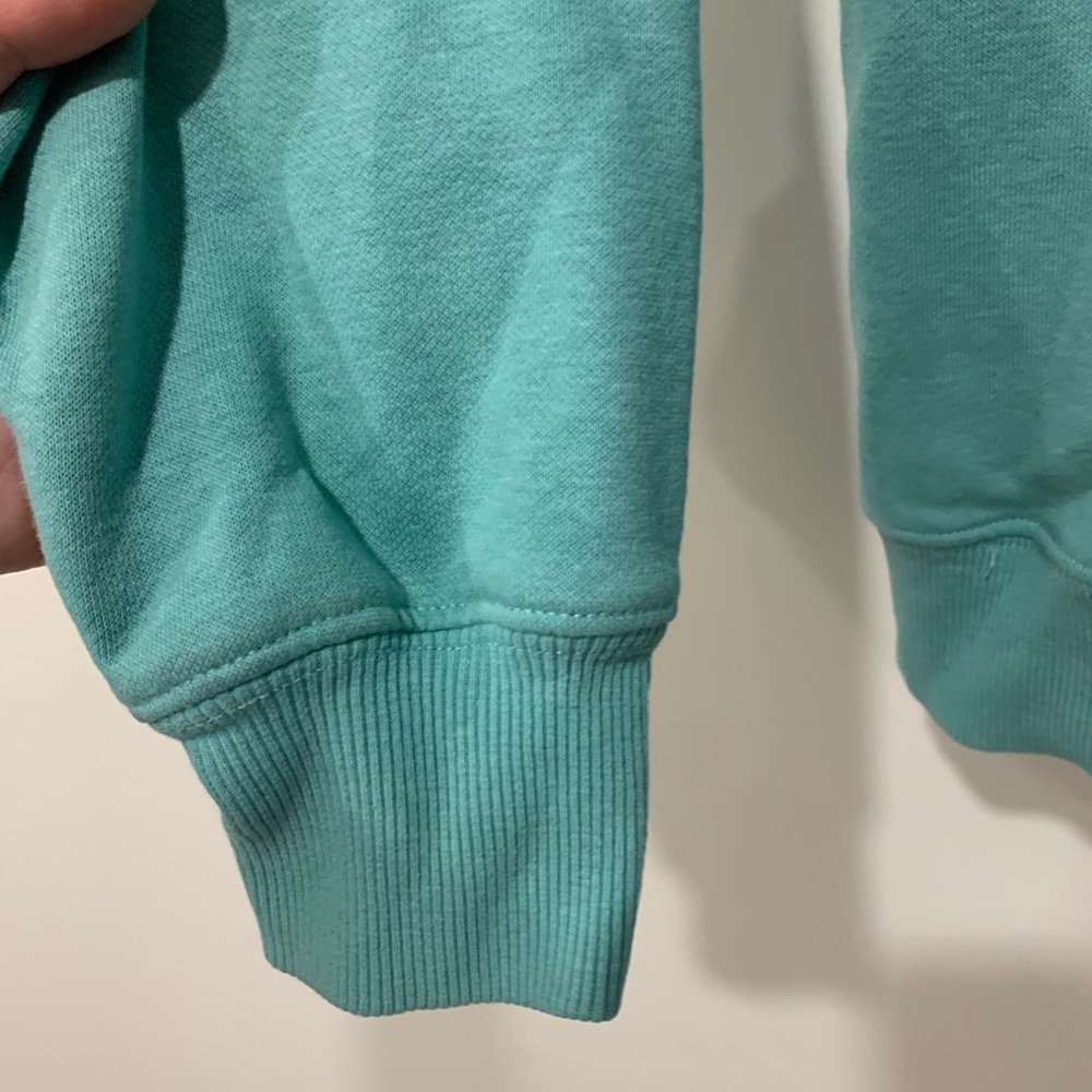 The North Face Turquoise Hooded Sweatshirt Size M - Picture 5 of 9